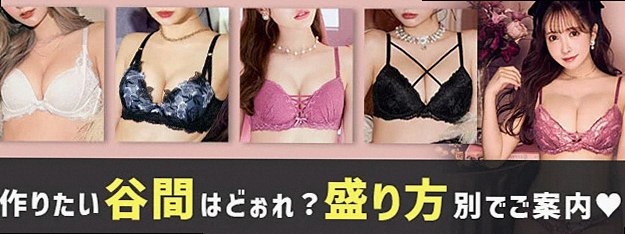 下着・ランジェリー・ブラジャー通販のMeld Meshcore(メルドメッシュコア)