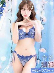 プレシャスフルール美胸脇高ブラジャー＆サイド紐バック透けフルバックショーツ［大ヒット］