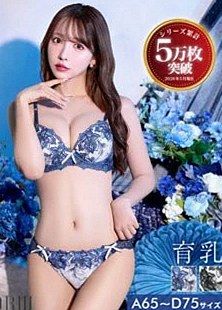 ロイヤルラメフラワー美胸脇高ブラジャー＆バック透けフルバックショーツ［大ヒット］